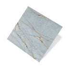Noble Stone 600x600 Natural Blue Marble Look Rectified