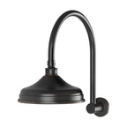 Phoenix Nostalgia Vintage Shower Arm & Rose Antique Black