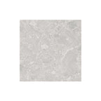 Studio Terrazzo 450x450 External Grey Terrazzo Look Rectified