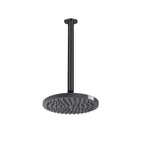 ADP Bloom Shower Rose & Dropper Brushed Gunmetal