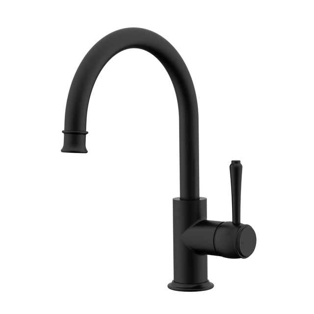 ADP Eternal Goosenk Basin Mixer Matte Black Tapware ADP Default Title