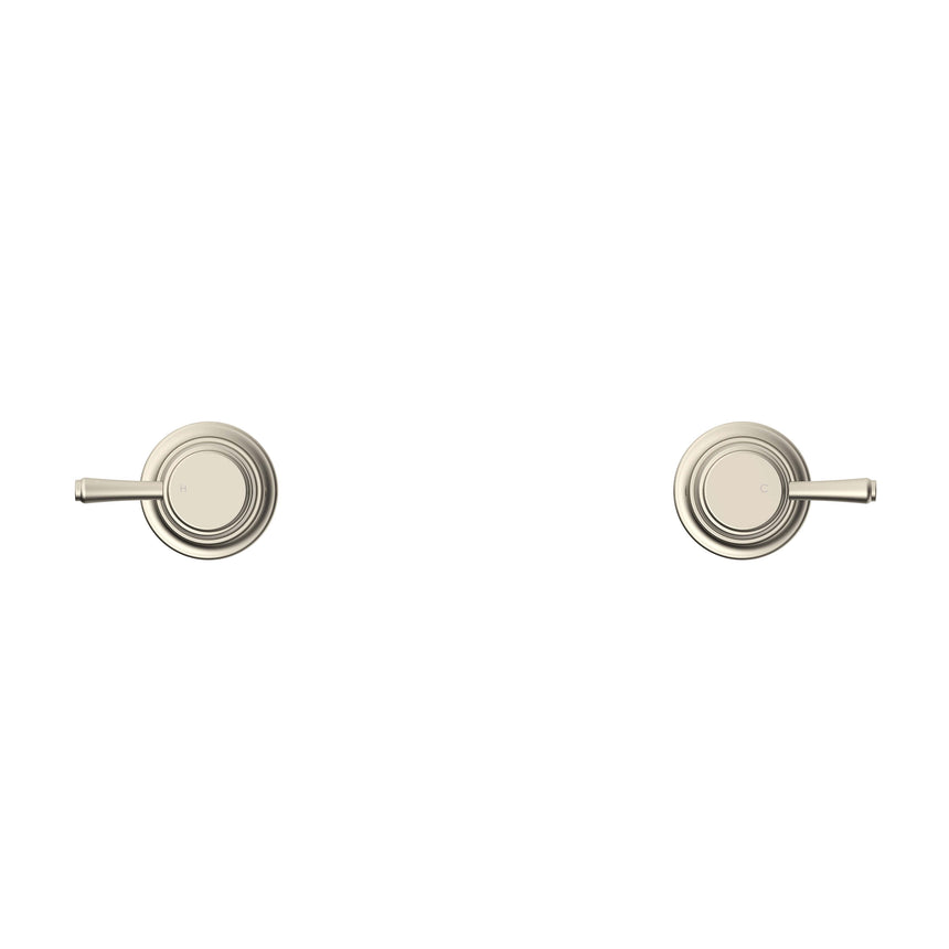 ADP Eternal Wall Top Ass pair Brushed Nickel Tapware ADP