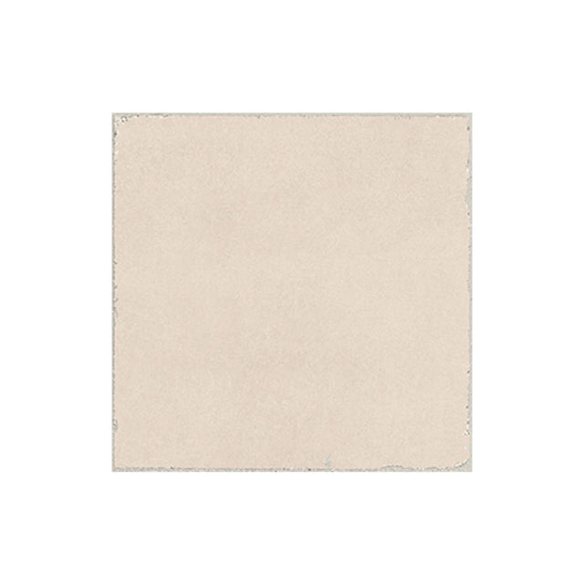 Valencia 200x200 Matt Coral Sample Sample Elite Importers