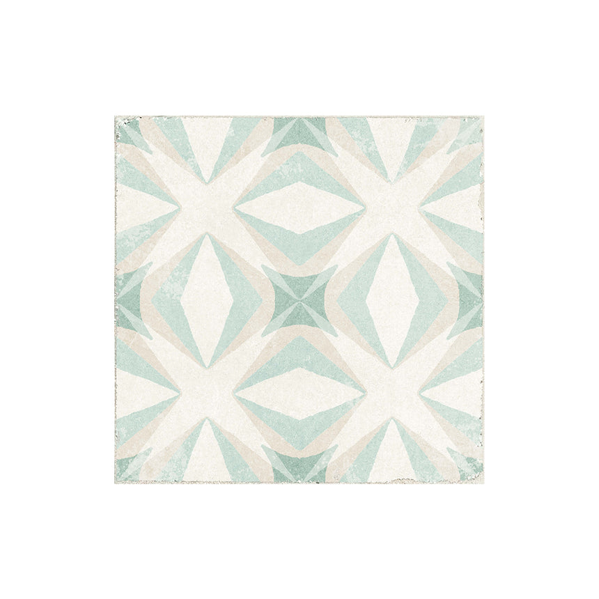 Valencia 200x200 Matt Palmar Sample Sample Elite Importers