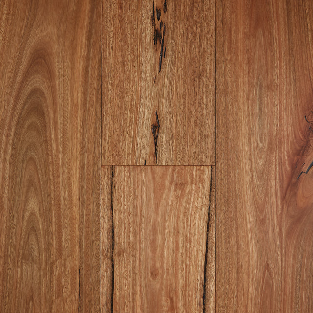 Fiddleback Engineered Australian Hardwood Rustic Brushed Matte 1860x125x14/3mm Spotted Gum Timber Flooring Preference Floors Default Title