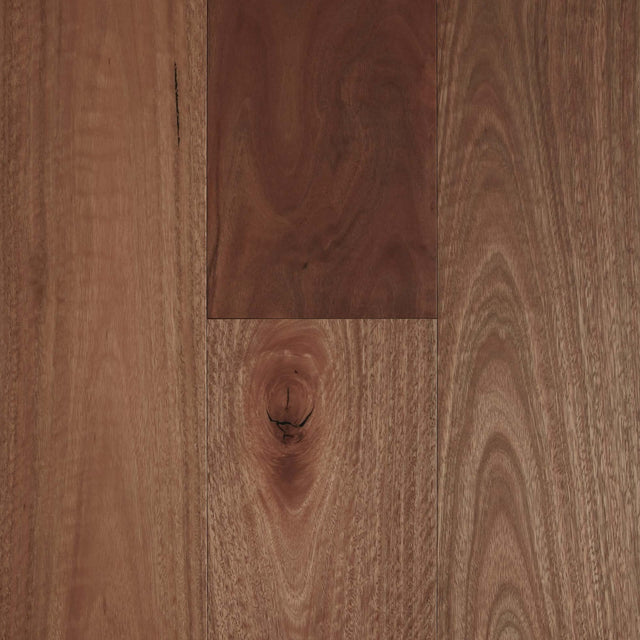 Fiddleback Engineered Australian Hardwood Smooth Matte 1860x136x14/3mm Spotted Gum Timber Flooring Preference Floors Default Title