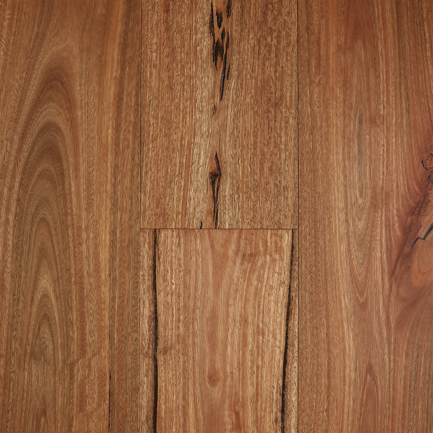 Fiddleback Engineered Australian Hardwood Rustic Brushed Matte 1860x189x14/3mm Spotted Gum Timber Flooring Preference Floors Default Title