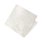 Cosmic 600x600 Matt Pearl Stone Look