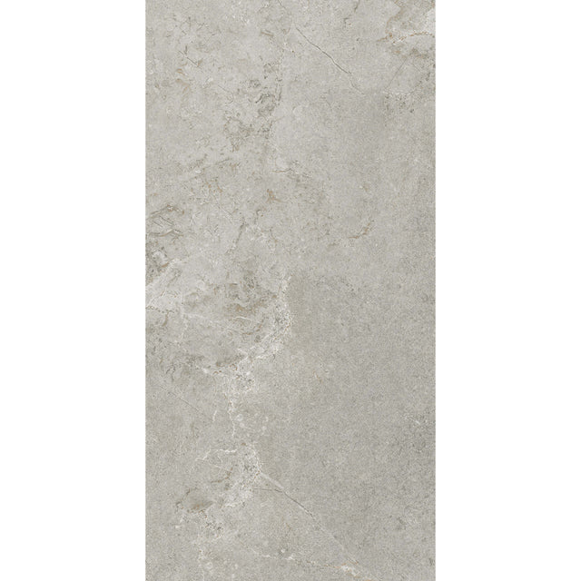 Cosmic 1200x600 Matt Silver Stone Look Tiles Tilemall Default Title