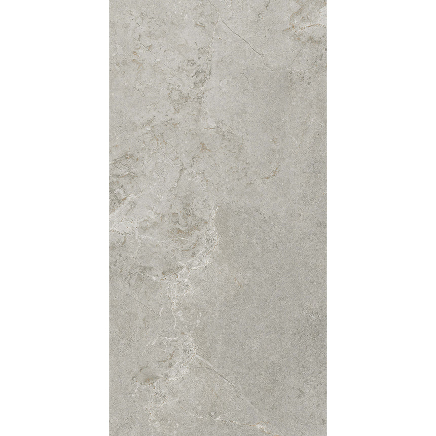 Cosmic 1200x600 Matt Silver Stone Look Tiles Tilemall Default Title