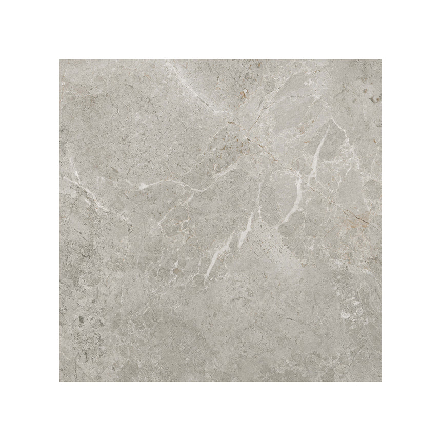 Cosmic Paver 600x600 Grip Silver Stone Look Tiles Tilemall Default Title