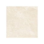 Hamilton 600x600 Surface Tec Champagne Stone Look