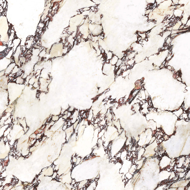 Wonderland 1200x1200 Natural Calacatta Viola Marble Look Tiles Tilemall Default Title