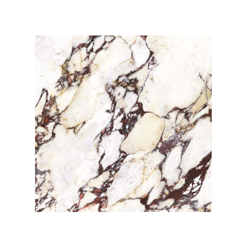 Wonderland 600x600 Natural Calacatta Viola Marble Look Tiles Tilemall Default Title