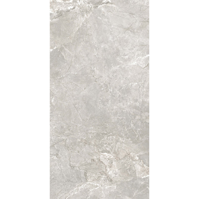 Silver River 1200x600 Matt Grey Marble Look Tiles Tilemall Default Title