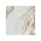 Elite Marble 600x600 Matt Calacatta Macchia Marble Look Rectified