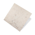 Rockies 600x600 Surface Tec Flora White Terrazzo Look Rectified