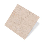 Poetry Stone 600x600 Natural Sand Stone Look Rectified