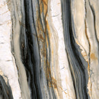 Masterpiece 1200x1200 Matt Calacatta Oyster Marble Look Rectified