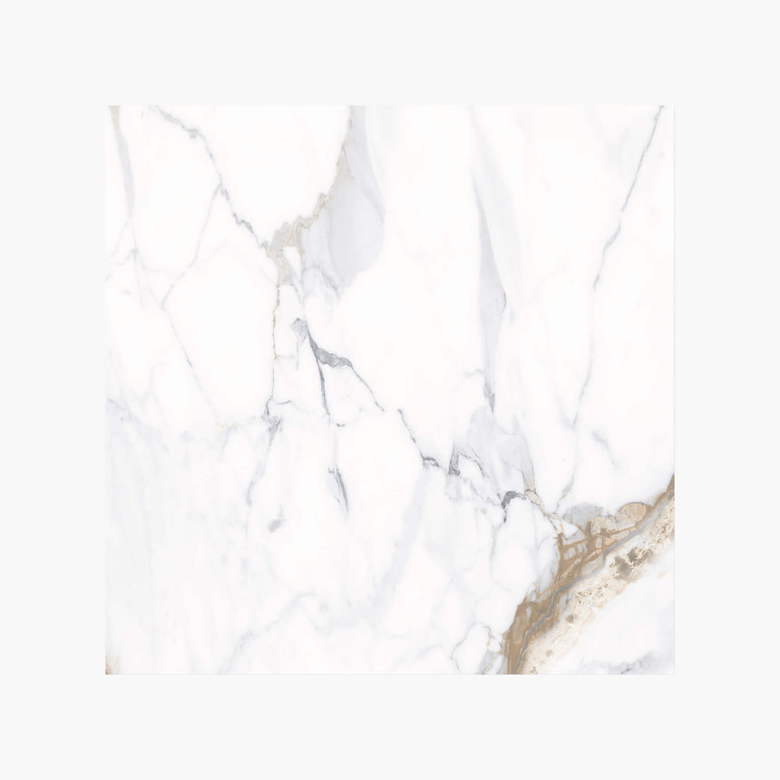 Calacutta Oro 600x600 Polished White Marble Look Tiles Tilemall