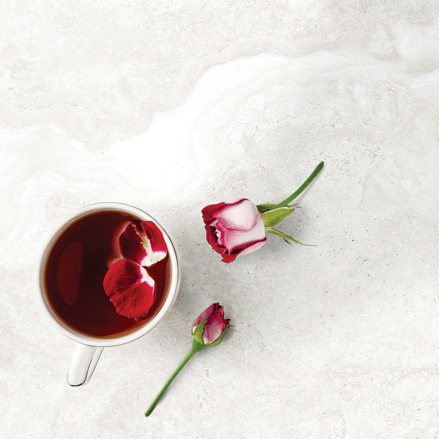 Pietra Trana 600x600 Surface Tec Beige Stone Look Tiles Tilemall