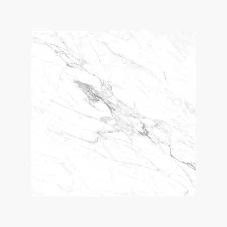 Snow-White-600x600-Matt-01