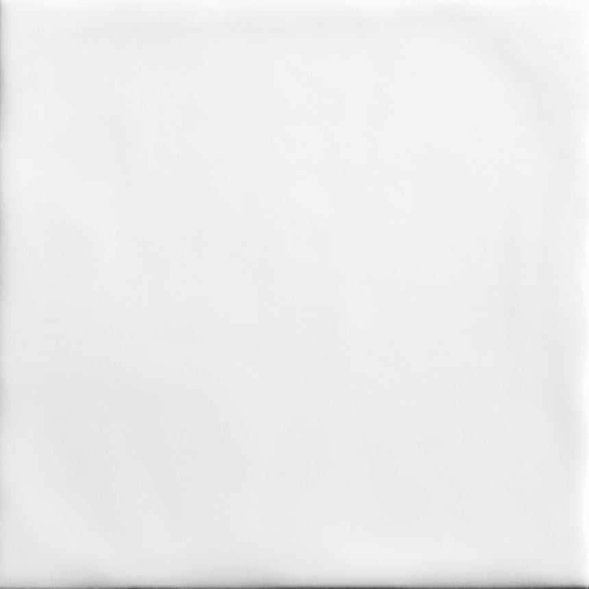 TM Mould Tile 150x150 Matt White Subway Tilemall