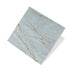 Noble Stone 600x600 Natural Blue Marble Look Rectified