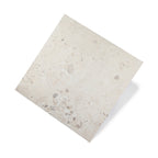 Rockies 600x600 Surface Tec Flora White Terrazzo Look Rectified