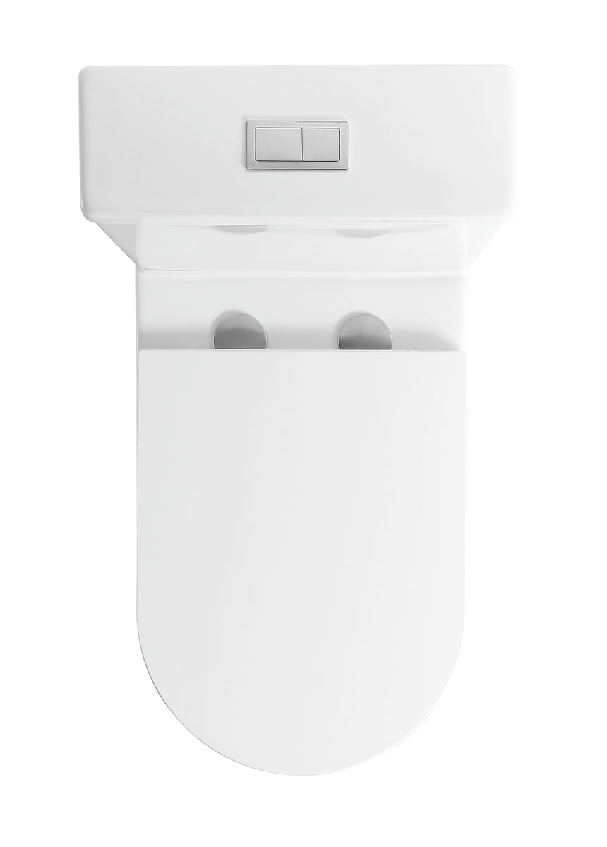 Top view of Lukka Agena toilet suite with dual-flush cistern and control buttons by Tilemall