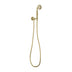 Phoenix Cromford Hand Shower Brushed Gold