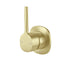 Phoenix Vask SwitchMix Shower / Wall Mixer Pin Up Brushed Gold