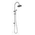 Phoenix Wiltern Twin Shower Brushed Carbon