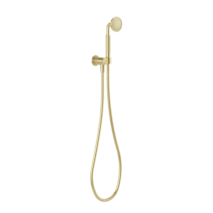 Phoenix Wiltern Hand Shower Brushed Gold, product view
