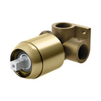 Phoenix Builders Shower / Wall Mixer Body Only Brushed Gold