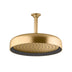 Statement Round Rainhead Brushed Brass