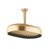 Statement Oblong Rainhead Brushed Brass