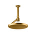 Statement Open Rain Iconic Rainhead Brushed Brass