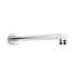 Statement Dual Function Wall Mount Rainhead Arm 482mm Polish Chrome