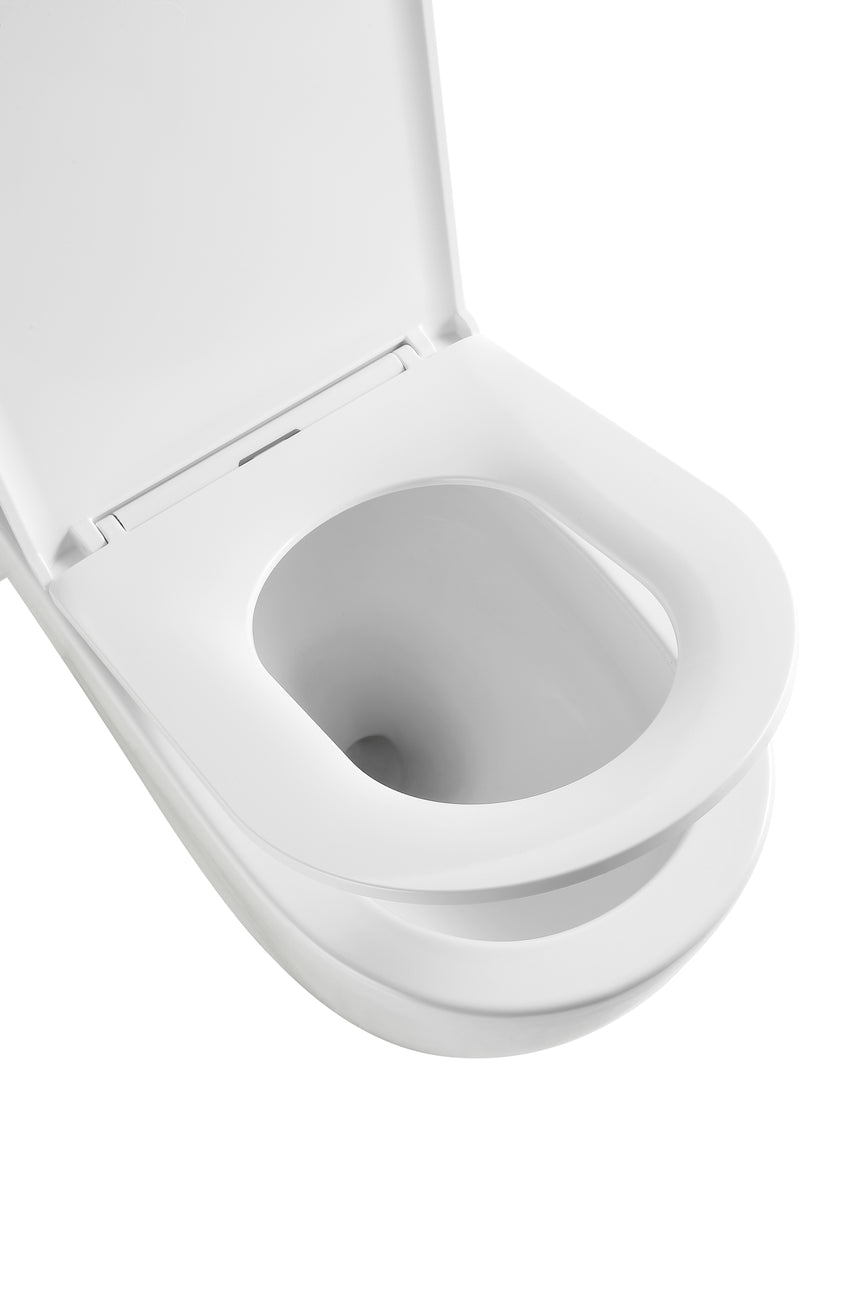 Close-up of Lukka Procida rimless toilet bowl showing seamless ceramic design and soft-close seat by Tilemall