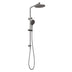 Phoenix Ormond Twin Shower Brushed Carbon