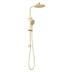 Phoenix Ormond Twin Shower - 4 Star Brushed Gold