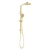Phoenix Oxley Twin Shower - 4 Star Brushed Gold
