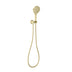 Phoenix Oxley Hand Shower Brushed Gold