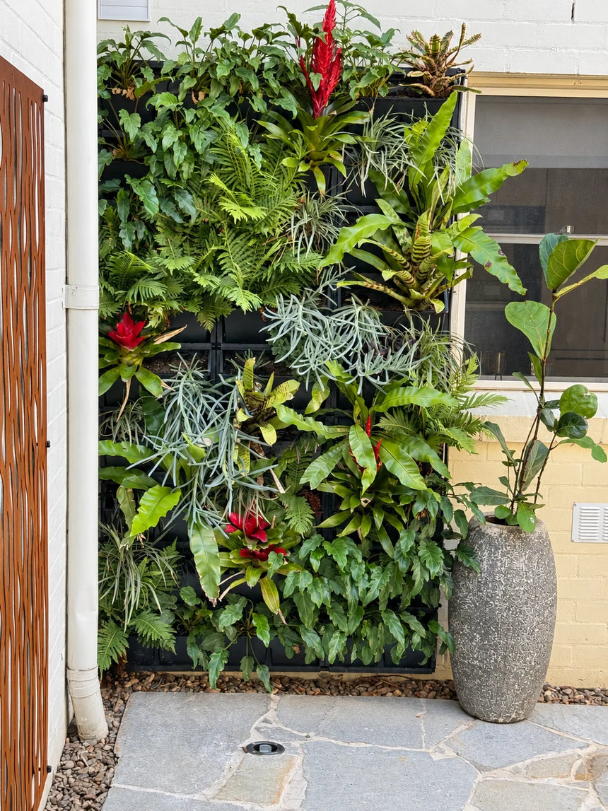 Mangolia crazy paving beside a vertical garden by Tilemall