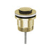 Phoenix 40mm Flat Pop Up Universal Waste Brushed Gold