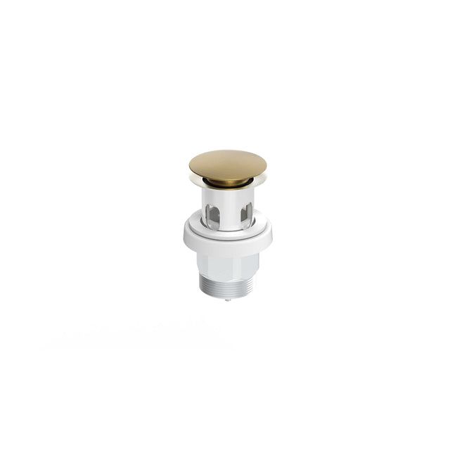 ADP Universal Plug & Waste Brushed Brass (10Buy) Other Accessories ADP
