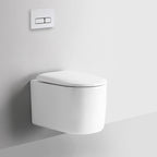 Devito Tornado Rimless Wall Hung Pan