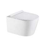 Agena Rimless Wall Hung Pan