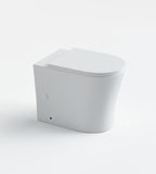 Orta Tornado Rimless Wall Faced Floor Pan